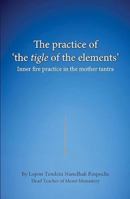 The practice of the tigle of the elements : Inner fire practice in the mother tantra 9937933080 Book Cover