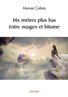 Dix mètres plus bas – Entre nuages et bitume (French Edition) 241462017X Book Cover