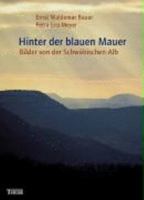 Hinter der blauen Mauer 3806219729 Book Cover