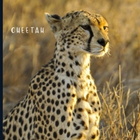 Cheetah: Full Color Photo Book | Africa Safari | Animal World Picture Book B08QX3PKVK Book Cover