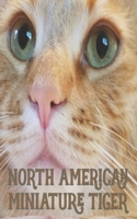 North American Miniature Tiger Ginger Cat 2020 Planner: 5 x 8 Diary Calendar with Two-Page 10 Monthly Spread and Weekly Detail Pages 1676354107 Book Cover