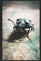 Bockkäfer notizbuch (German Edition) 1679115324 Book Cover