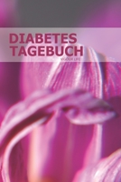 Diabetes Tagebuch: Blutzucker und Insulin im Blick behalten für mehr als 100 Tage - Klein & Kompakt ca. A5 (German Edition) 1687248605 Book Cover