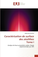 Caractérisation de surface des zéolithes Tome I 6203430692 Book Cover