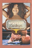 A Fighting Chance: Newheart Cowboys 2 B0FL17ZYKZ Book Cover