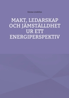 Makt, ledarskap och jämställdhet ur ett energiperspektiv (Swedish Edition) 9180574378 Book Cover