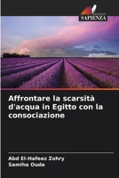Affrontare la scarsità d'acqua in Egitto con la consociazione (Italian Edition) 6209651488 Book Cover