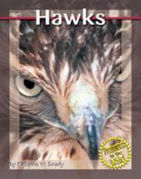 Hawks 0736810641 Book Cover