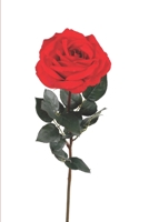 I Love You B084DR4RXK Book Cover