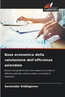Base economica della valutazione dell'efficienza aziendale (Italian Edition) 6207660137 Book Cover