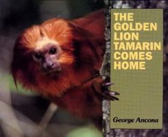The Golden Lion Tamarin Comes Home 002700905X Book Cover