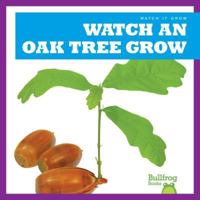 Mira Cómo Crece un Roble / Watch an Oak Tree Grow 1641285230 Book Cover