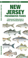 New Jersey Freshwater Fishes: A Waterproof Folding Guide to Native and Introduced Species (A Pocket Naturalist Guide) 162005762X Book Cover