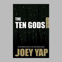The Ten Gods: An Introduction to The Cornerstone of BaZi 9675395834 Book Cover