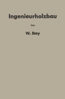 Ingenieurholzbau 3642904408 Book Cover