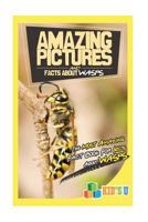 Amazing Pictures and Facts about Wasps: The Most Amazing Fact Book for Kids about Wasps 1535454237 Book Cover