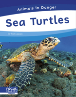 Sea Turtles B0H6LLDBR2 Book Cover
