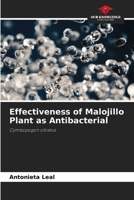 Effectiveness of Malojillo Plant as Antibacterial: Cymbopogon citratus B0CJ4F9G9Z Book Cover