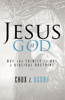 Jesus Is God 1938624319 Book Cover