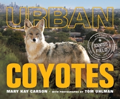 Urban Coyotes (Scientists in the Field) 0063271478 Book Cover