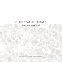 In the Year of Ferraro 194927926X Book Cover