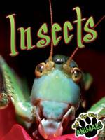 Insects 1617417785 Book Cover