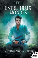 Vengeance à Dublin: Entre deux mondes, T2 (French Edition) B0BJ1MC2PX Book Cover