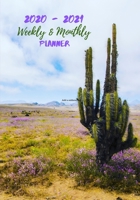 Weekly And Monthly Planner: Organize Your Daily Activities At Home School And Office - Desert  Cactus Green (2020-2021) 1691216003 Book Cover