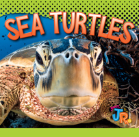 Sea Turtles 1644664399 Book Cover