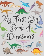 My First Big Book Of Dinosaurs: Spot the Difference Dinosaur, Count The Dinosaurs, The Little Christmas Dinosaurs, Coloring Toy Gifts For Kids Or ... Educational Birthday Party Favors Gifts. B08928L68R Book Cover