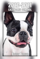 2020-2021 Calendario Semanal Boston Terrier: 221 P�ginas Tama�o A5 24 Meses 1 Semana en 2 P�ginas Planificador Agenda Semana Vista Can�filo Perro En Espa�ol 1657963500 Book Cover
