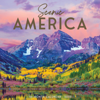 America 2025 12 X 12 Wall Calendar 1549248227 Book Cover