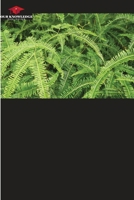 Ferns and Lycophytes from Lajinha Park, Minas Gerais, Brazil 6208518296 Book Cover