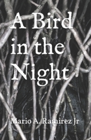 A Bird in the Night B09RWCMCZM Book Cover