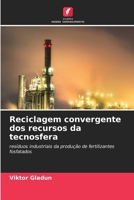 Reciclagem convergente dos recursos da tecnosfera (Portuguese Edition) 6630403185 Book Cover