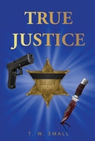 True Justice (Judge Small's Justice Trilogy - Series Number 2) 1662961456 Book Cover