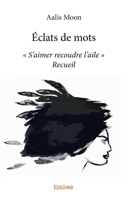 Éclats de mots (French Edition) 2414067888 Book Cover