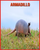 Armadillo: Scopri i Armadillo e goditi le immagini colorate B08WYDMZFD Book Cover