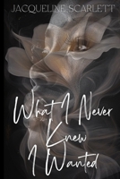 What I Never Knew I Wanted 1549557149 Book Cover