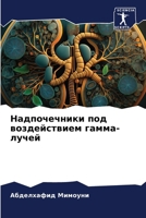 ???????????? ??? ???????????? ?????-???? 6207719565 Book Cover