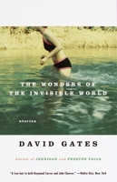 The Wonders of the Invisible World 0679436685 Book Cover