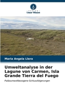 Umweltanalyse in der Lagune von Carmen, Isla Grande Tierra del Fuego 6206850846 Book Cover