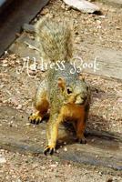 Address Book: Colorado Fox Squirrel 1530384362 Book Cover