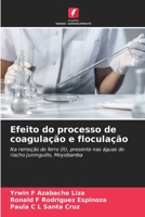Efeito do processo de coagulação e floculação: Na remoção do ferro (II), presente nas águas do riacho Juninguillo, Moyobamba 6205899590 Book Cover