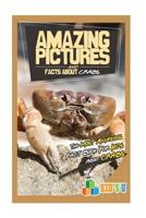 Amazing Pictures and Facts About Crabs: The Most Amazing Fact Book for Kids About Crabs 1533555222 Book Cover