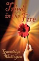 Tried in the Fire 0978633202 Book Cover