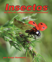 Insectos: Un Libro de Comparaciones Y Contrastes: Insects: A Compare and Contrast Book 1638173117 Book Cover