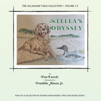 Stella's Odyssey 173224569X Book Cover