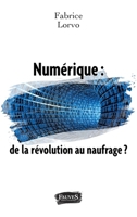 Numérique : de la révolution au naufrage ? (French Edition) B01D5TVQC8 Book Cover