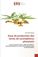 Essai de production des larves de rycomphorus phoenecis 620342689X Book Cover
